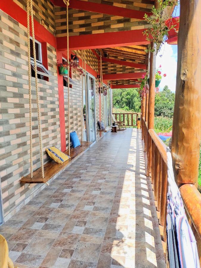 El Mirador *